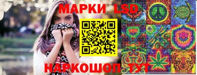 СК Камышлов