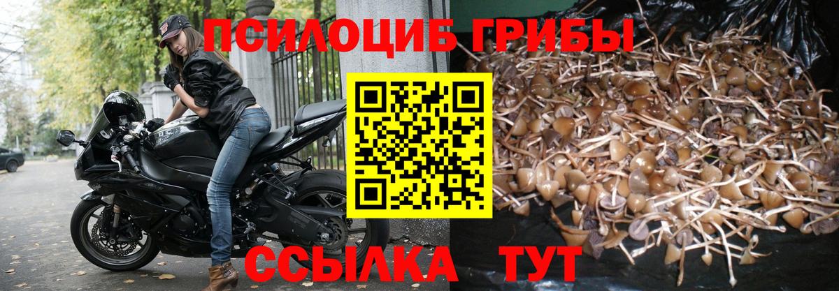 Галлюциногенные грибы Psilocybe  Псилоцибиновые грибы Magic Shrooms  Вход с VPN  Усть-Илимск 